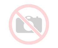 Formação transnacional para mentores ISSE